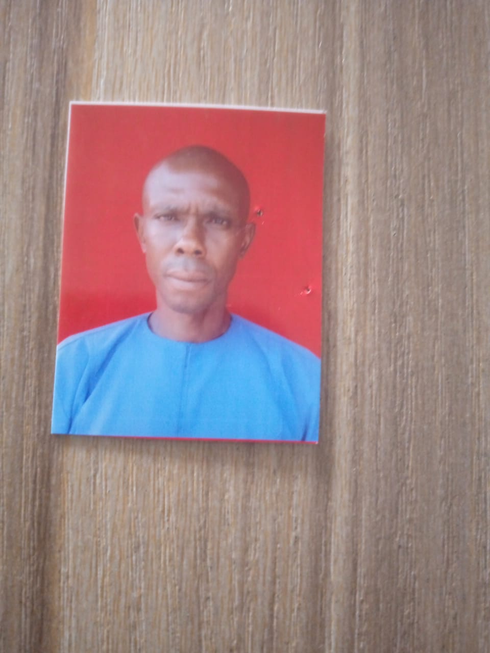 OYIBO MICHAEL